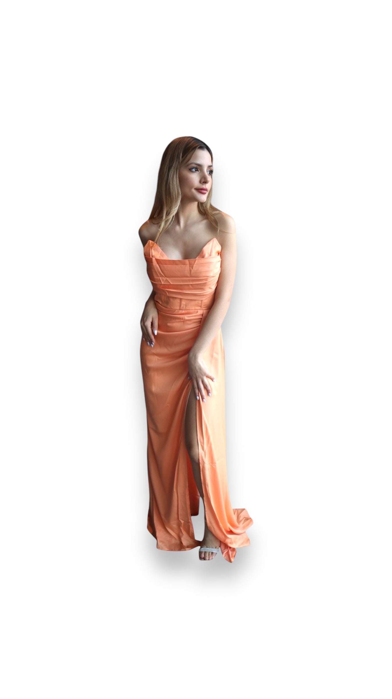 Olivia Dress